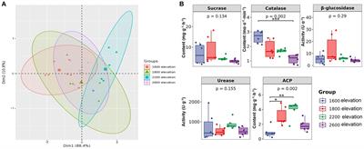 Discrepant diversity patterns and function of bacterial and fungal communities on an earthquake-prone mountain gradient in Northwest Sichuan, China